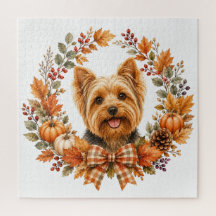 Yorkshire Terrier Herbst