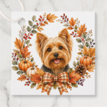 Yorkshire Terrier Herbst