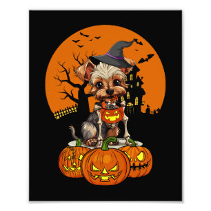 Yorkshire Terrier Hund Halloween Fotodruck