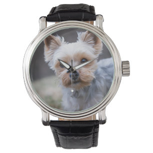 Yorkshire Terrier, Hund, Haustier Armbanduhr