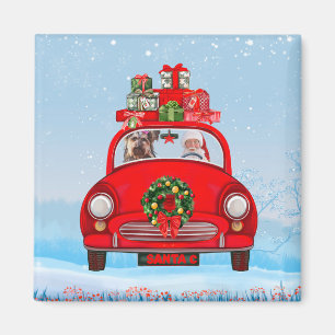 Yorkshire Terrier Hund im Auto mit dem Weihnachtsm Magnet