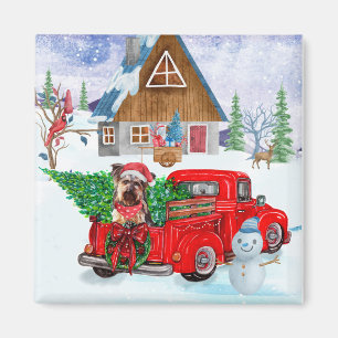 Yorkshire Terrier Hund im Truck zur Weihnachtslief Magnet
