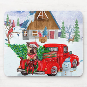 Yorkshire Terrier Hund im Truck zur Weihnachtslief Mousepad