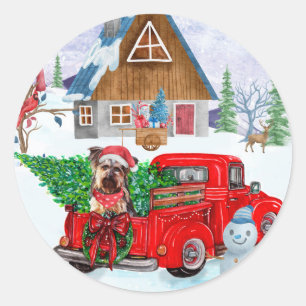 Yorkshire Terrier Hund im Weihnachtslieferwagen Runder Aufkleber