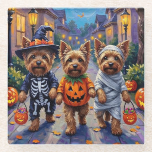 Yorkshire Terrier Hunde in Halloween Kostümen Glasuntersetzer