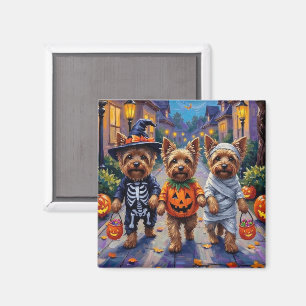 Yorkshire Terrier Hunde in Halloween Kostümen Magnet