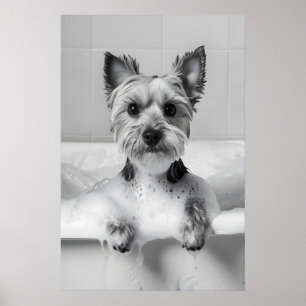 Yorkshire Terrier im Badewanne-Druck, Lustiger Hun Poster