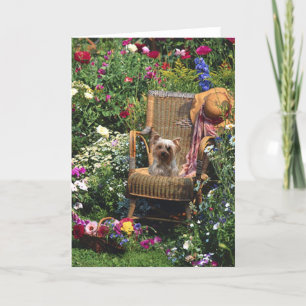 Yorkshire Terrier in Garden Grußkarte Karte
