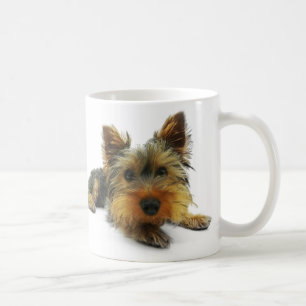 Yorkshire Terrier Kaffeetasse