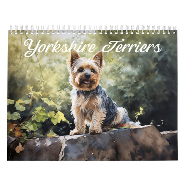 Yorkshire Terrier Kalender, jedes Jahr Kalender (Titelbild)