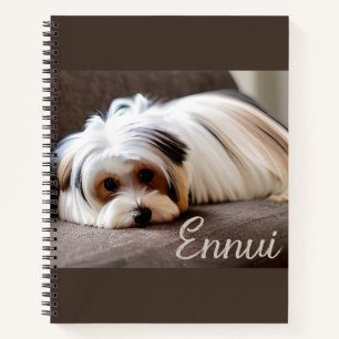 Yorkshire Terrier, Langeweile erlebend Tagebuch 
