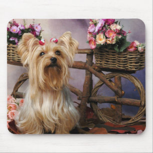 Yorkshire Terrier Liebe Yorkies Welpen Hund Mauspa Mousepad