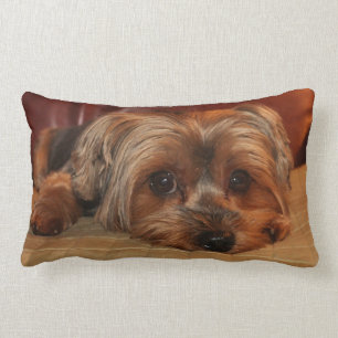 Yorkshire Terrier Lumbar Coussin