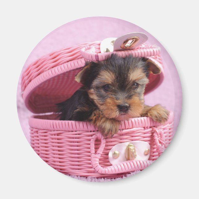 Yorkshire Terrier Magnet (Vorne)