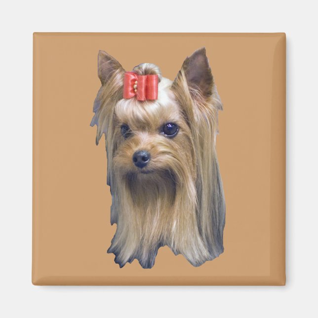 Yorkshire Terrier Magnet (Vorne)