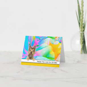 Yorkshire Terrier Merci pour animaux domestiques