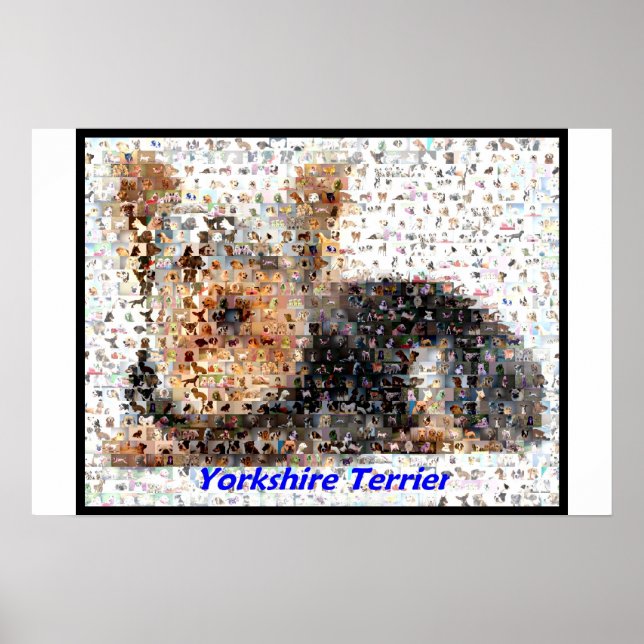 Yorkshire Terrier Montage Poster (Vorne)