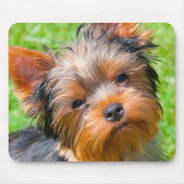 Yorkshire Terrier Mousepad (Vorne)