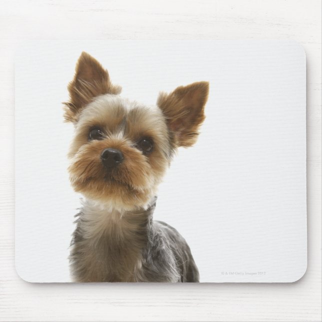 Yorkshire Terrier Mousepad (Vorne)