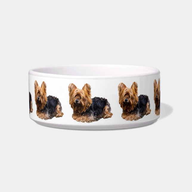 Yorkshire Terrier Napf (Vorderseite)