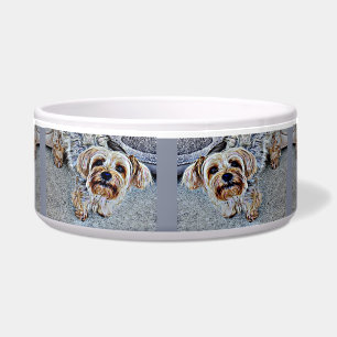Yorkshire Terrier Napf