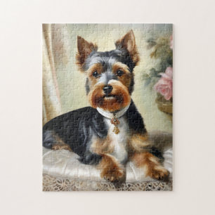 Yorkshire Terrier Niedlich Dog