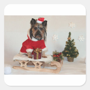 Yorkshire-Terrier-on-Schlitten Quadratischer Aufkleber