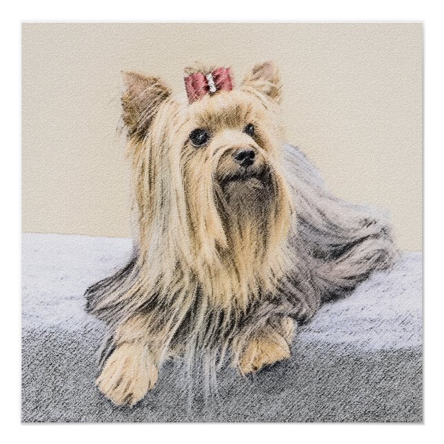 Yorkshire Terrier Painting - Niedliche Original Do Poster (Vorderseite)