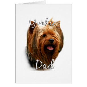 Yorkshire Terrier Papa 2