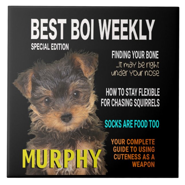 Yorkshire Terrier Parody Magazine Cover Fliese (Vorderseite)