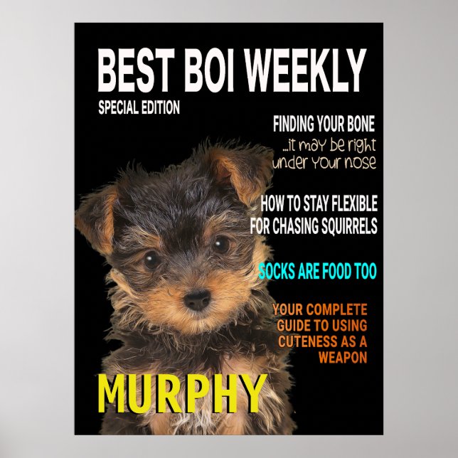 Yorkshire Terrier Parody Magazine Cover Poster (Vorne)