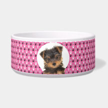 Yorkshire Terrier Personalisiert Foto & Name Dog