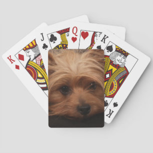 Yorkshire Terrier Playing Cards Spielkarten
