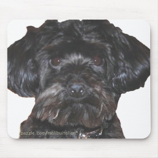 Yorkshire Terrier Poodle Mix Mousepad (Vorne)