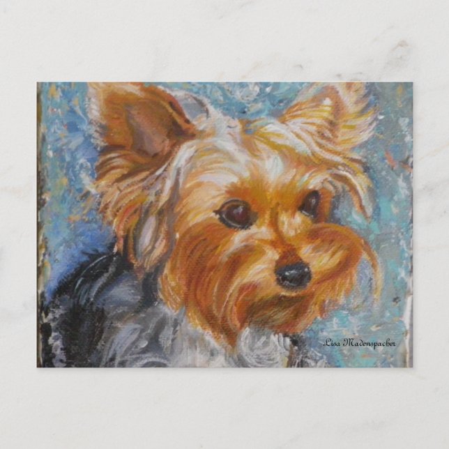 Yorkshire Terrier Post Card Postkarte (Vorderseite)