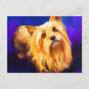 Yorkshire Terrier Postcard Postkarte