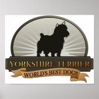 Yorkshire Terrier