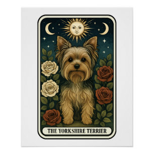 Yorkshire Terrier Poster