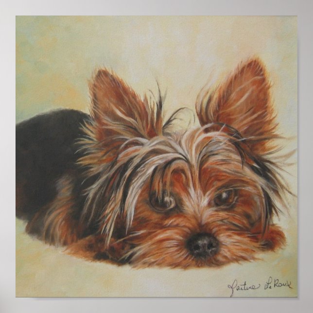 Yorkshire Terrier Poster (Vorne)