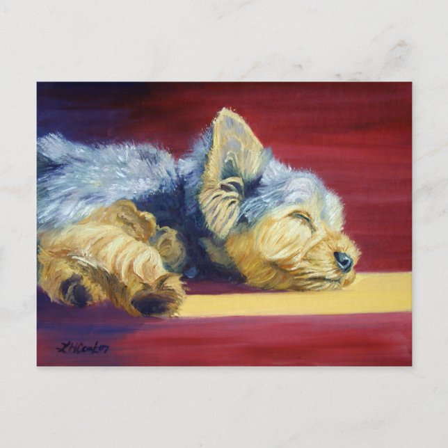 Yorkshire Terrier Postkarte (Vorderseite)