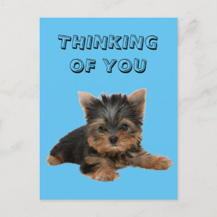 YORKSHIRE TERRIER POSTKARTE