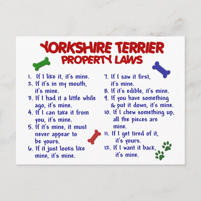 YORKSHIRE TERRIER Property Laws 2 Yorkie Postkarte (Vorderseite)