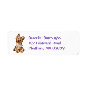 Yorkshire Terrier Puppy Dog Niedlich Yorkie