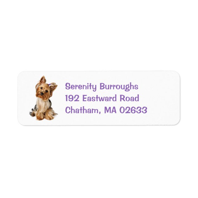 Yorkshire Terrier Puppy Dog Niedlich Yorkie (Vorne)