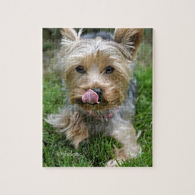 Yorkshire Terrier Puppy - "jjhelene design" (Vertikal)