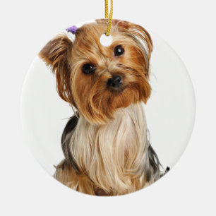 Yorkshire Terrier Puppy Keramikornament