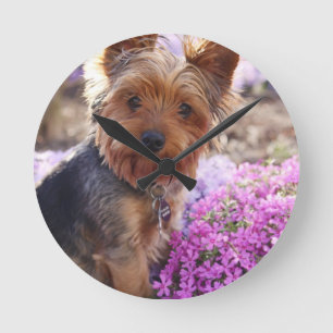 Yorkshire Terrier Runde Wanduhr