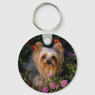 Yorkshire-Terrier-Schlüsselanhänger Schlüsselanhänger