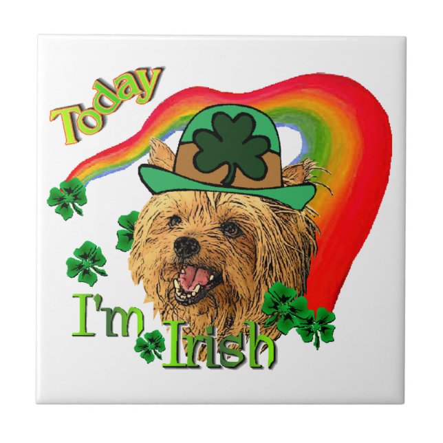Yorkshire Terrier St Patricks Fliese (Vorderseite)