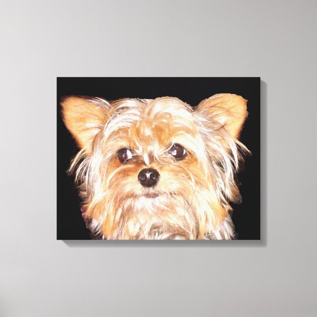 Yorkshire Terrier Stretched Canvas Print Leinwanddruck (Vorderseite)